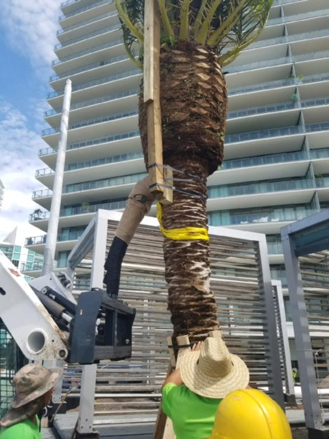 Virnig Tree Boom | Model TRBM | Adds 46.5" Lift Height | Hydraulic Flow 15 To 25 GPM | For Skid Steer