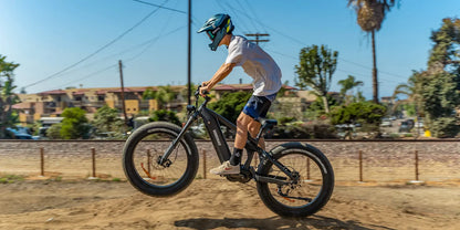 Himiway | Electric Bike | Model D7 Pro Mountain | 1000 W Mid-Drive Motor (1.34 HP) | 26 x 4.0” Fat Tires | 60 To 80 Mile Range | 400 lb Payload | 160 Nm Torque | For Extreme Trail & Backcountry Riding