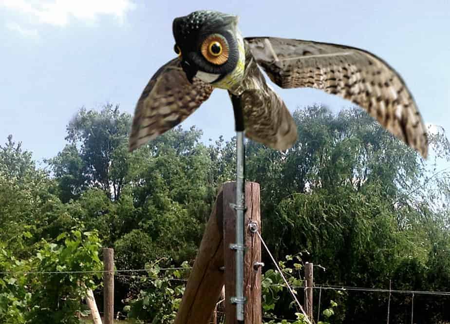 Bird-X® Prowler Owl | Dimensions 44˝ Wingspan 23˝ Total head to Tail 6˝ Head Diameter