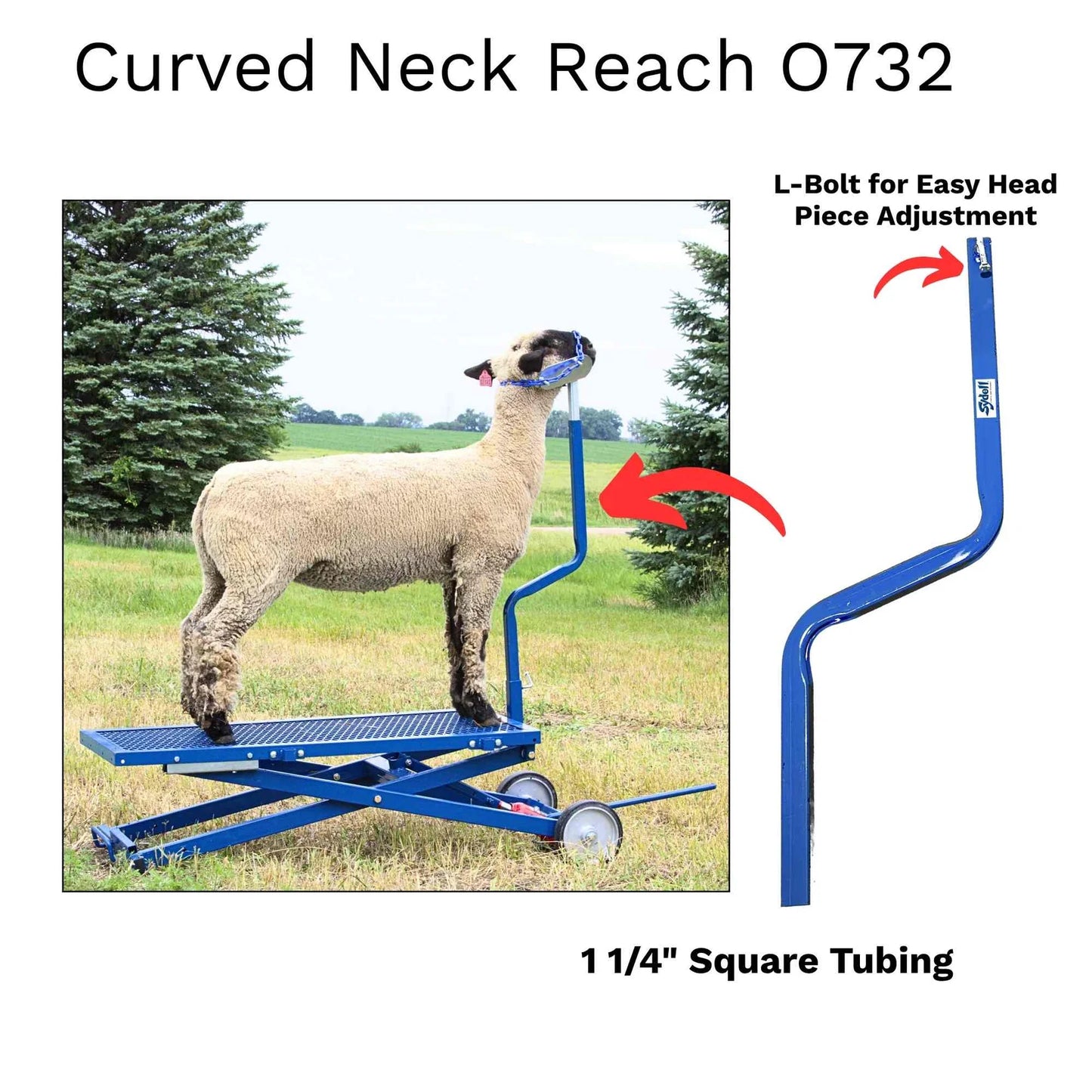 Sydell Curved Neck Reach For Sheep & Goats | #0732 | 1¼" Steel Tubing | For Livestock Handling