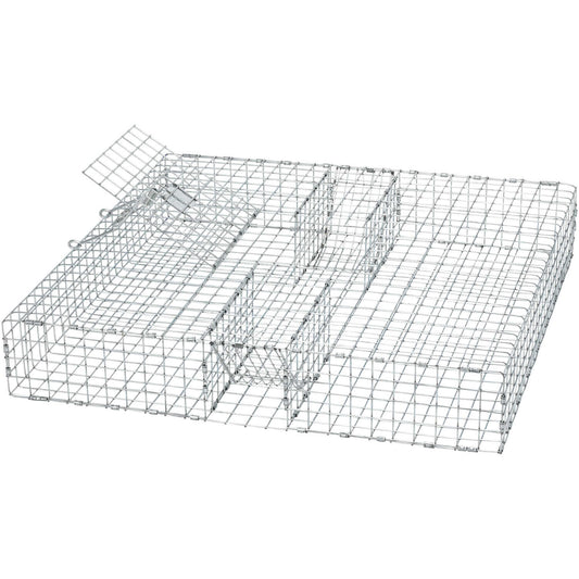 Forestry Supplies Tomahawk Double-Door Multiple Catch Trap