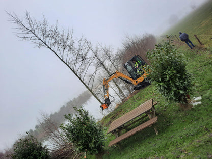 MDE Machinery | Tree Shear With Buncher | Model Koala 150T To Koala 550T | Cutting Capacity 6" To 21.5" Inches | Machine Size 1.5-40 Ton | For Excavator