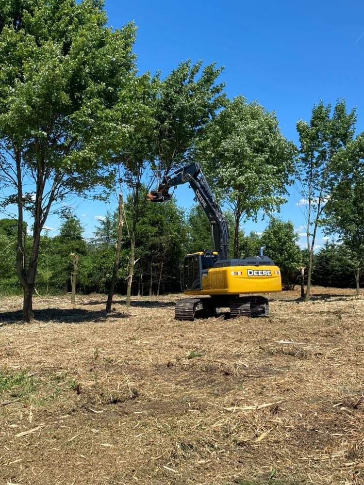 MDE Machinery | Tree Shear With Buncher | Model Koala 150T To Koala 550T | Cutting Capacity 6" To 21.5" Inches | Machine Size 1.5-40 Ton | For Excavator