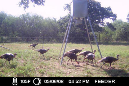 ASF Broadcast Feeder w/ Solar | Capacity 300lb | 7' Legs With Drive Pins