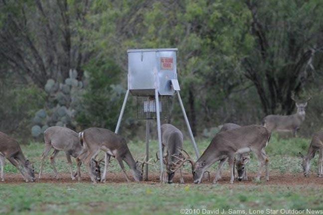 ASF Broadcast Feeder w/ Solar | Capacity 300lb | 7' Legs With Drive Pins