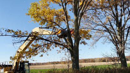 MDE Machinery | Tree Shear With Buncher | Model Koala 150T To Koala 550T | Cutting Capacity 6" To 21.5" Inches | Machine Size 1.5-40 Ton | For Excavator