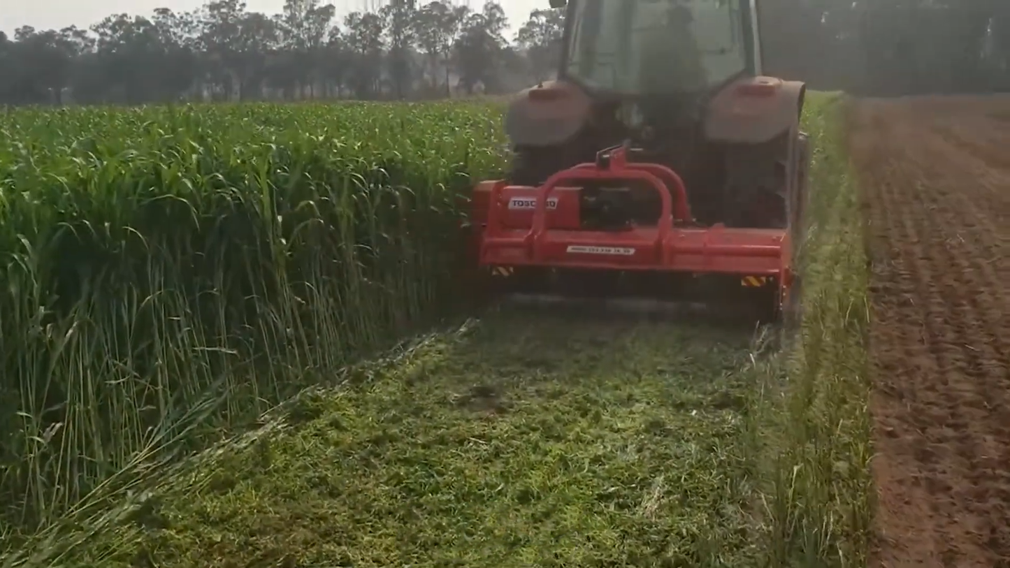 TOSCANO | Double Sided Mulcher | Model 2000 & 2400 | Work Width 6.56 to 7.87 Feet | HorsePower 70-90 HP | For Tractor