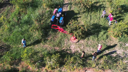 TOSCANO | Mower | Model 800 & 1000 | Work Width 2.62 to 3.28 Feet | PTO Revolution 3000 RPM | For Tractor