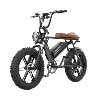 Aostirmotor Super Cool New Model Electric Bike Storm | 750W Brushless Motor | 48V 13Ah Lithium Battery