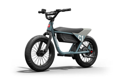 Himiway C1 | Kids Electric Bike | 350W Brushless Gear Motor | Heavy-Duty Aluminium Kickstand