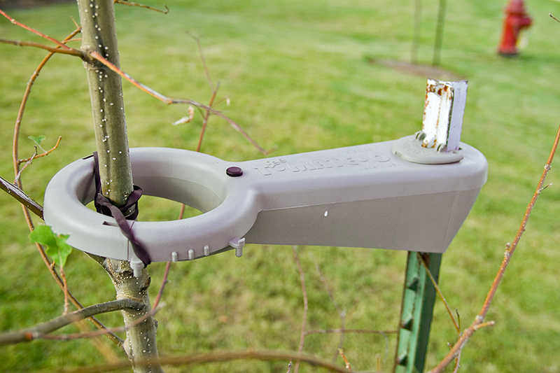 Prostrate Tree Support Forestry Supplies Tree-Mate-O Tree Support – Ripping It Outdoors