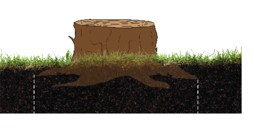 Baumalight Stump Grinder | Model 1P34 | Rotor 34" | 24-65 HP | For Category I 3-Point Hitch Tractor
