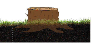 Baumalight Stump Grinder | Model 1P34 | Rotor 34" | 24-65 HP | For Category I 3-Point Hitch Tractor
