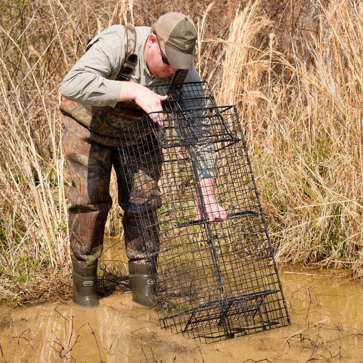 Comstock Double Door Wildlife Traps