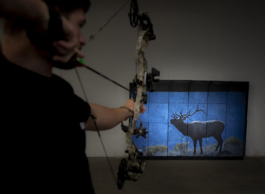 Big Shot Targets Monster Video Wall | Number of Cubes 40 | Video Wall 8' X 12'