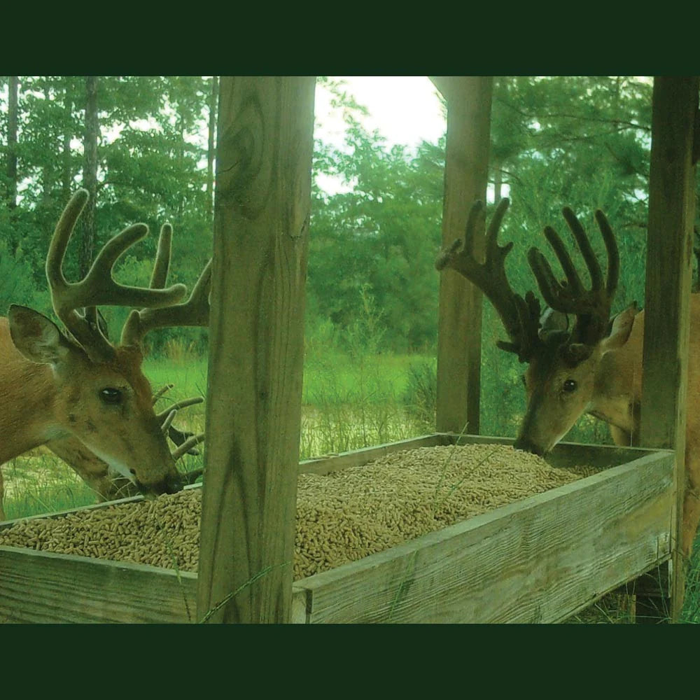 4S Advanced Wildlife Solutions 20% Premium Deer Pellets (PLUS) | High Protein Complete Ration | Antler Growth & Herd Health