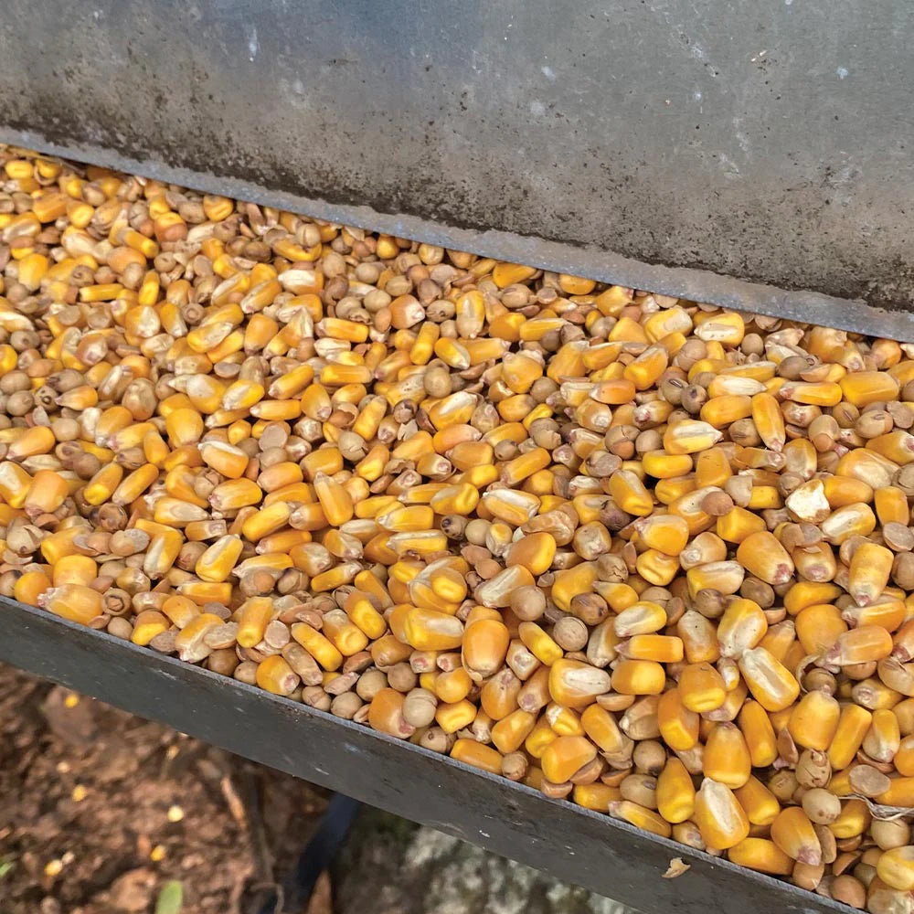 4S Advanced Wildlife Solutions Roasted Raxx | Premium Deer Feed Mix | High-Protein Soybean & Corn | For All Feeders