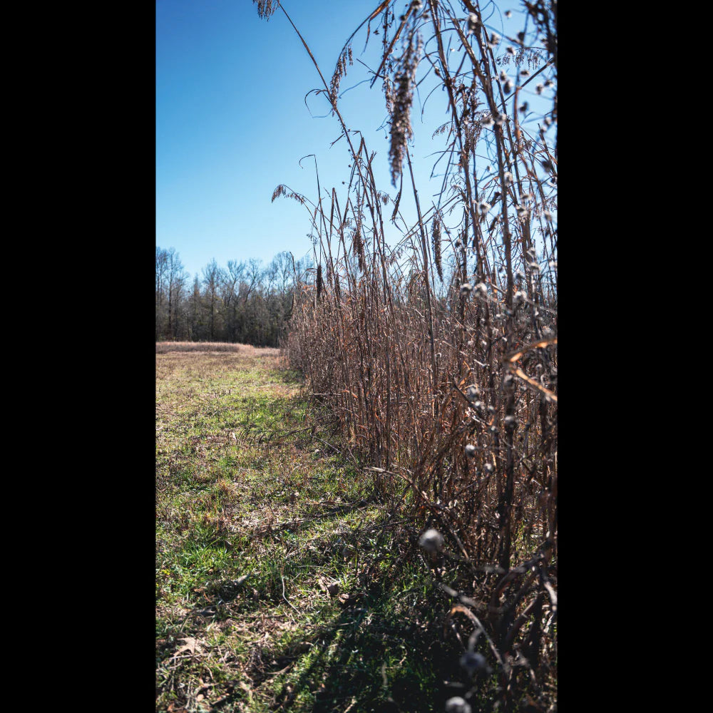 4S Advanced Wildlife Solutions Fall Food Plot Seeds | Harvest Advantage, Forager Plus, Brassica, Everlast, Blow-Till & Field Shield | Fall & Winter Deer Food Plot Seed