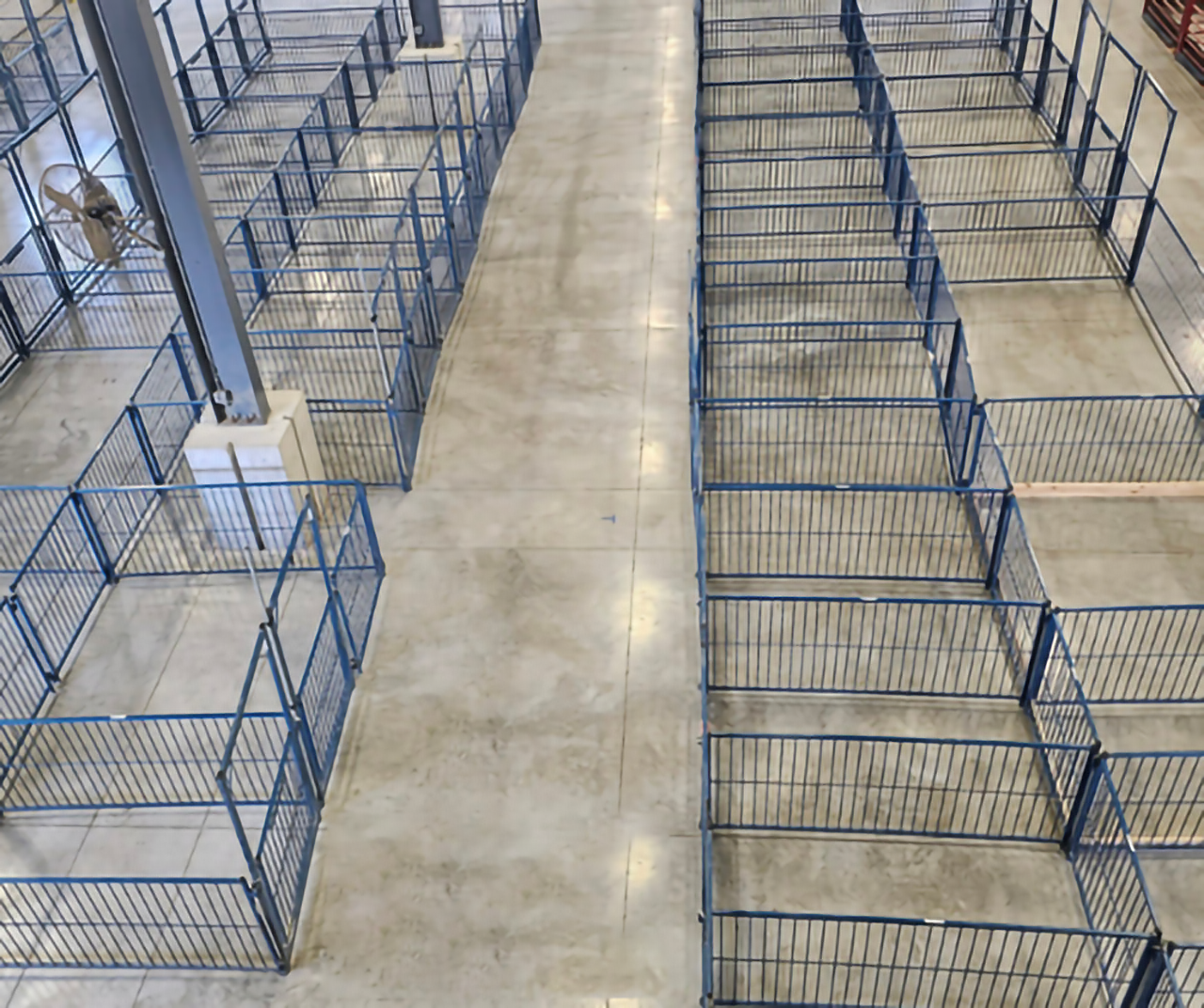 Sydell Multi-Species Vertical Fair Show Pen Panels | FPEV | 4'–10' Width | 42" Height | For Livestock