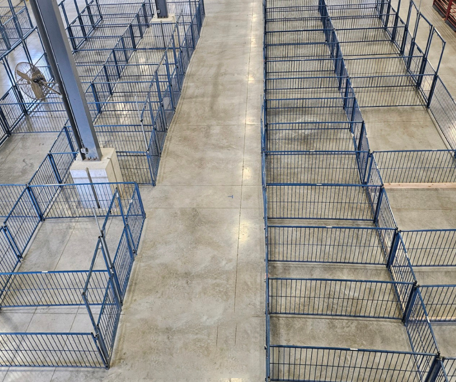 Sydell Vertical Fair Show Pen Panels | FPEV | Width 4' To 10' | For Multi-Species Livestock Pens