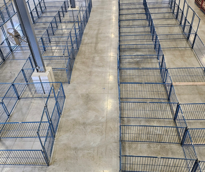 Sydell Vertical Fair Show Pen Panels | FPEV | Width 4' To 10' | For Multi-Species Livestock Pens