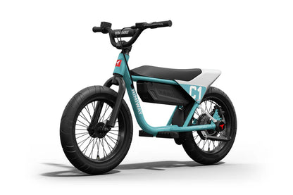 Himiway C1 | Kids Electric Bike | 350W Brushless Gear Motor | Heavy-Duty Aluminium Kickstand