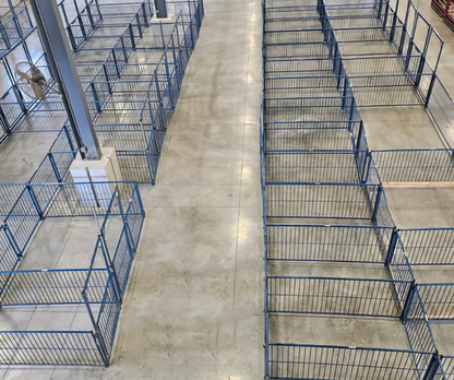 Sydell Multi-Species Arched Front Gate | FPEV4A4 &FPEV5A5 | Width 48" To 72" | For Livestock Show Pens