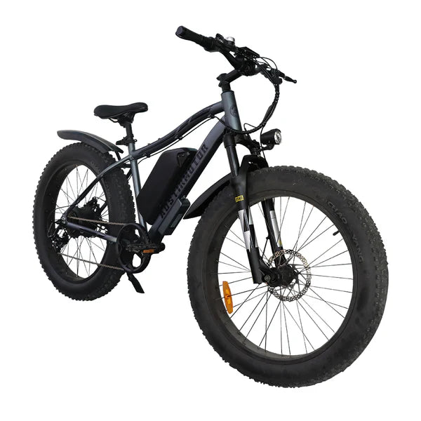 Aostirmotor All-Terrain Electric Fat Bike | Model S07-MAX | Motor Driving Force 1000W | Maximum Speed 30+ Mph