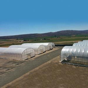 FarmTek GrowSpan Series 500 Tall High Tunnel Greenhouse System