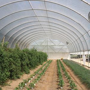 FarmTek GrowSpan Series 500 Tall High Tunnel Greenhouse System