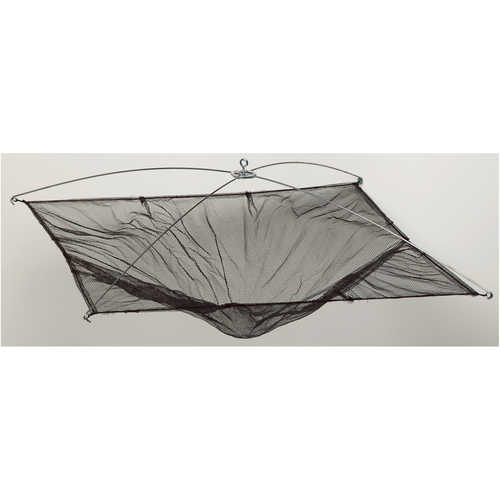 Forestry Supplies Umbrella Minnow Net / Polyethylene- 42˝ x 42"- 1/8˝ Mesh