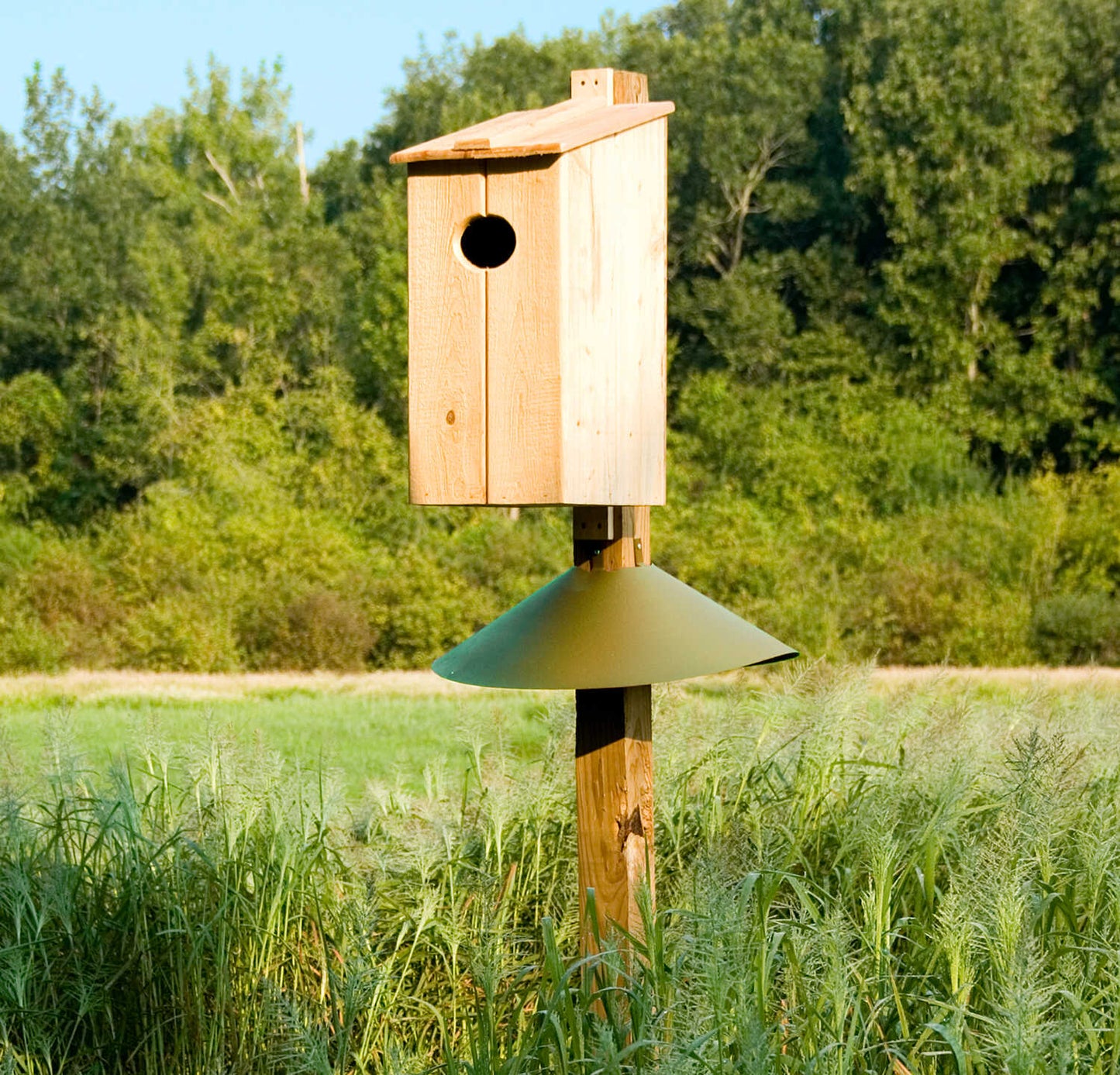 Forestry Supplies Cypress Wood Duck Nesting Box