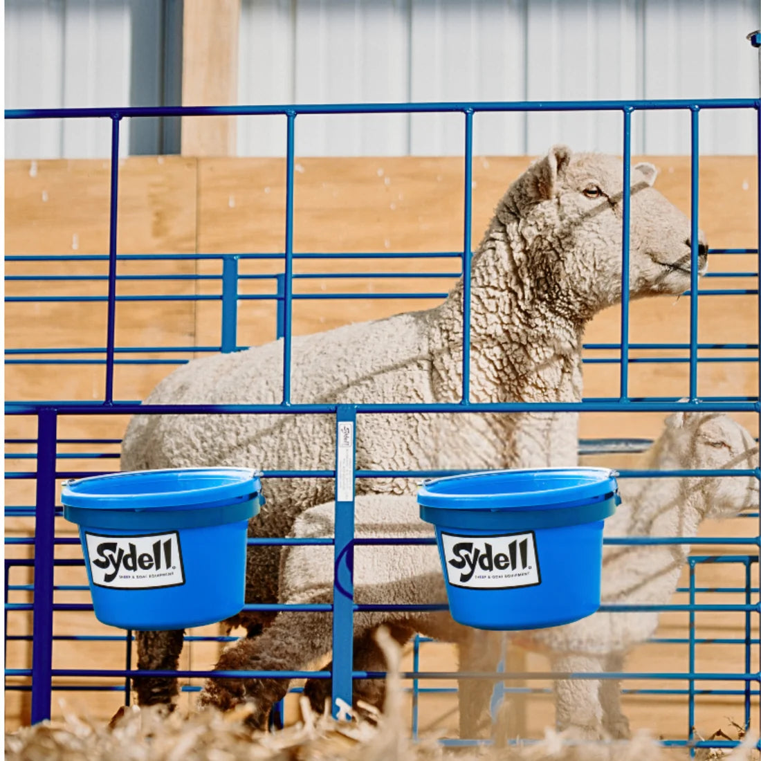 Sydell Freestanding Starter Pen | #0112A | 6' Width | For Sheep & Goat Lambing & Kidding