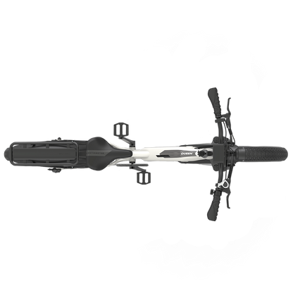 Aostirmotor 52V All-Terrain Electric Bike Queen | 1000W Brushless Motor | 52V 15Ah Lithium-Ion Battery | 330 lbs