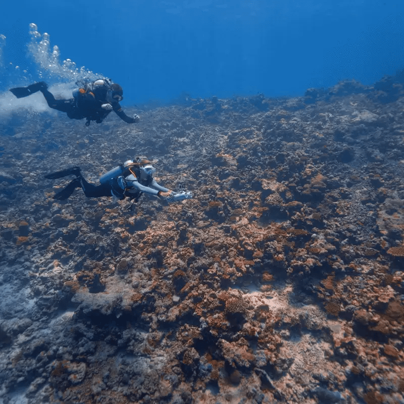 Lefeet Underwater Scooter | Model P1 Lite | Length 10.71" | Thrust 8 kgf | Depth 60m | For Scuba & SUP