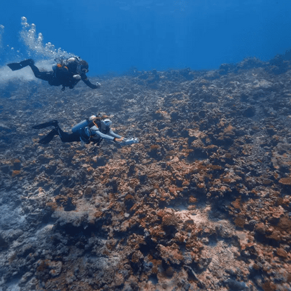 Lefeet Underwater Scooter | Model P1 Lite | Length 10.71" | Thrust 8 kgf | Depth 60m | For Scuba & SUP