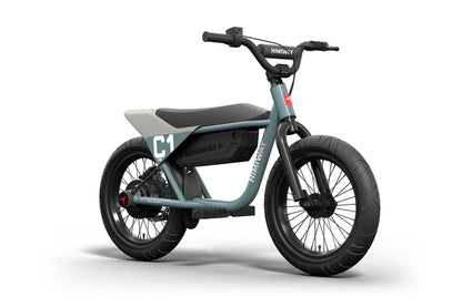 Himiway C1 | Kids Electric Bike | 350W Brushless Gear Motor | Heavy-Duty Aluminium Kickstand