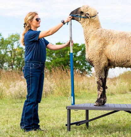 Sydell H.A.S.S. Stand | #0710 | Size 15" x 22" x 54" | Heavy-Duty Show Stand | For Sheep & Goats
