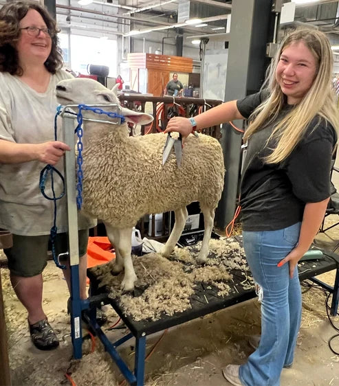 Sydell H.A.S.S. Stand | #0710 | Size 15" x 22" x 54" | Heavy-Duty Show Stand | For Sheep & Goats