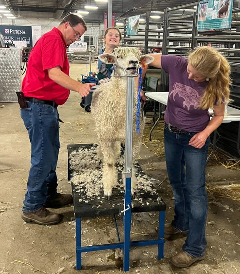 Sydell H.A.S.S. Stand | #0710 | Size 15" x 22" x 54" | Heavy-Duty Show Stand | For Sheep & Goats