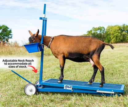 Sydell Hydraulic Stand With 0735 Milking Stanchion | #0781 | 20" x 48" Deck | For Sheep & Goat