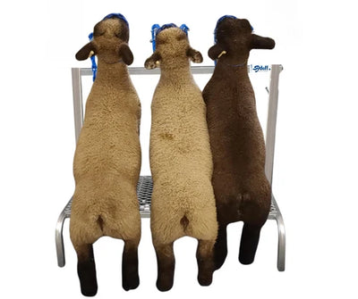 Sydell Showman's Best Fold & Go Show Rail | #0739 / #0739S | Adjustable Width | 3 Heads | For Sheep & Goats