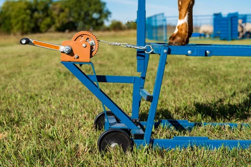 Sydell Winch Blocking Stand | #0750 | 20" x 48" Deck | For Adjustable Sheep & Goat Show Stand