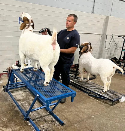 Sydell Winch Blocking Stand | #0755 | 20" Width | 4"-30" Height | For Sheep & Goats