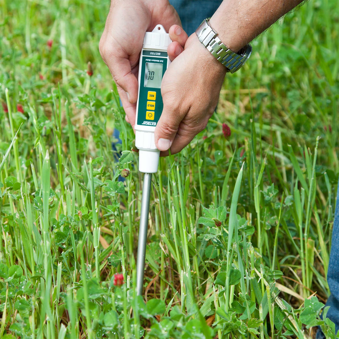 Extech® Digital Soil Moisture Meter with 8” Probe