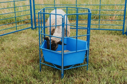 Sydell 6-Sided Sectional Feeder | #0811-8 | 32" Diameter | Poly Tub | For Sheep & Goat