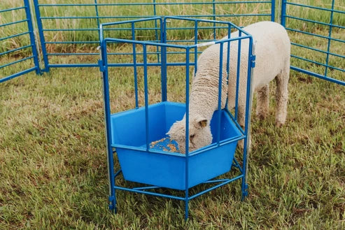 Sydell 6-Sided Sectional Feeder | #0811 | 32" Diameter | For Sheep & Goat Hay & Grain Feeder