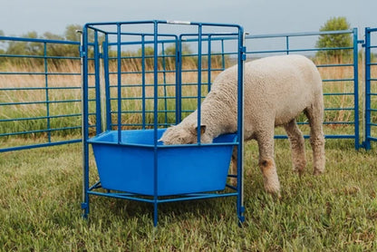 Sydell 6-Sided Sectional Feeder | #0811 | 32" Diameter | For Sheep & Goat Hay & Grain Feeder