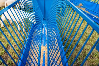 Sydell 2-Sided Vertical Combination Feeder | 0824P/0826P | 25 1/2" Width | SIze 4' & 8' | For Sheep & Goats