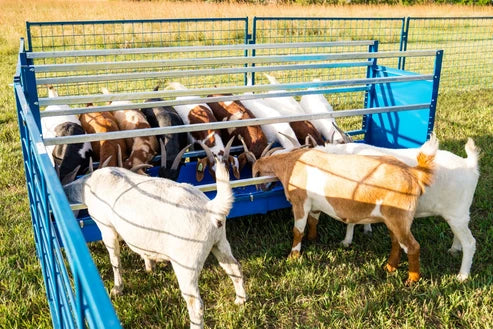 Sydell 2-Sided Horizontal Combination Feeder | 0824HP/0826HP | 25 1/2" Width | For Sheep & Goat